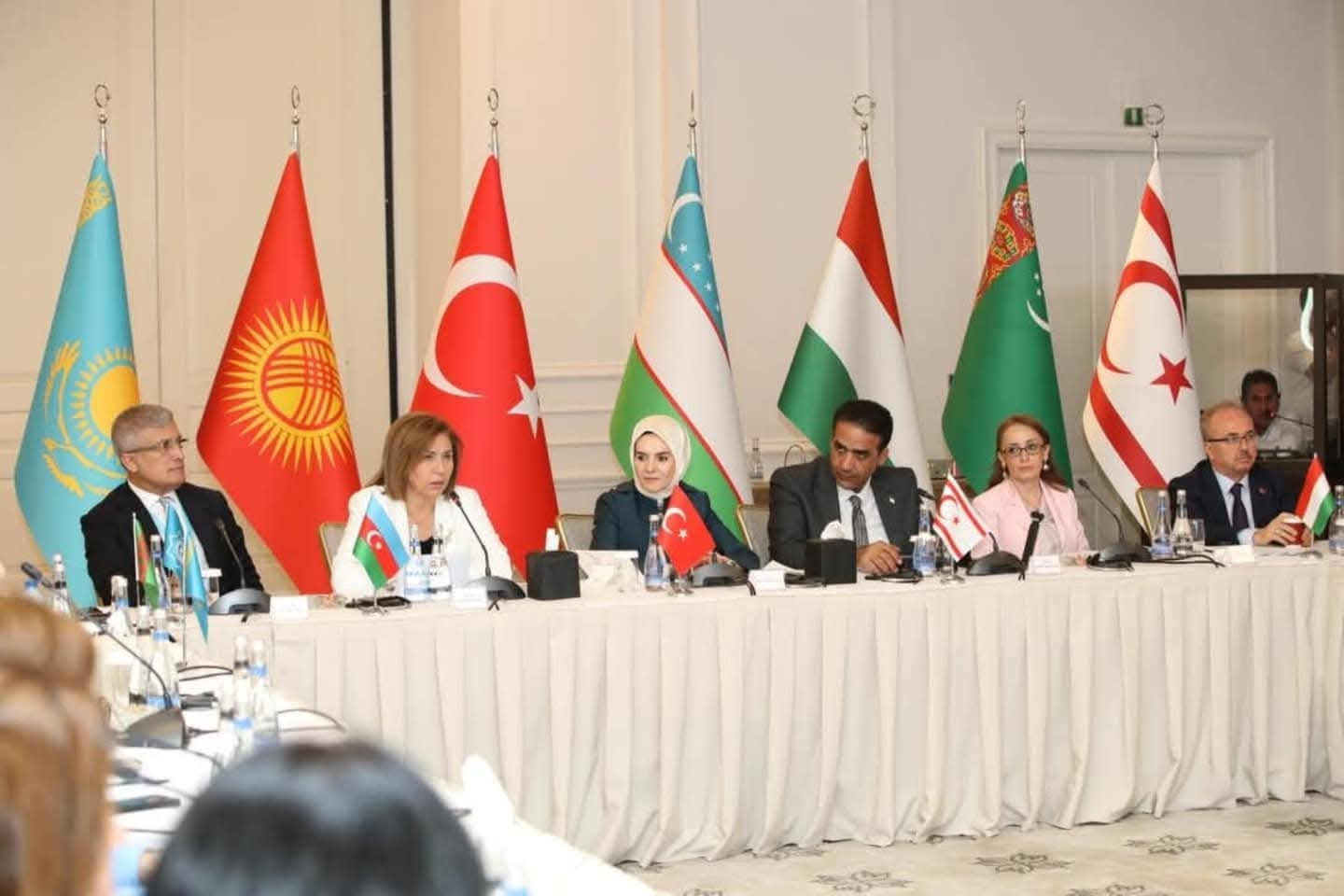 TDT ölkələrinin ailə siyasətləri müzakirə olunub